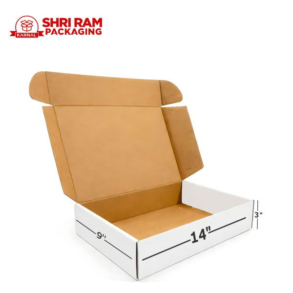 Shri Ram Packaging 3 Ply White Flap Box 14x9x3 Inch | Shipping & Packaging Box