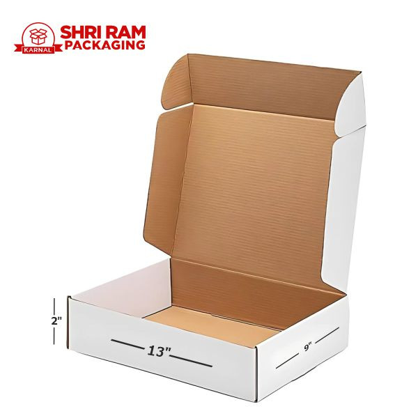 Shri Ram Packaging 3 Ply White Flap Box 13x9x2 Inch | Shipping & Packaging Box