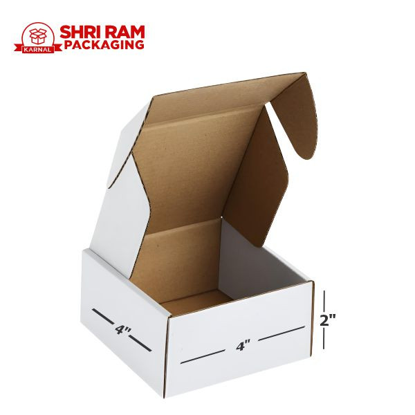 Shri Ram Packaging 3 Ply White Flap Box 4x4x2 Inch | Shipping & Packaging Box