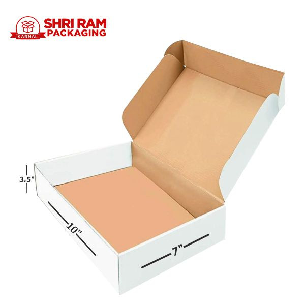 Shri Ram Packaging 3 Ply White Flap Box 10x7x3.5 Inch | Shipping & Packaging Box